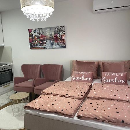 Spring Deluxe Apartment Novi Sad Bagian luar foto