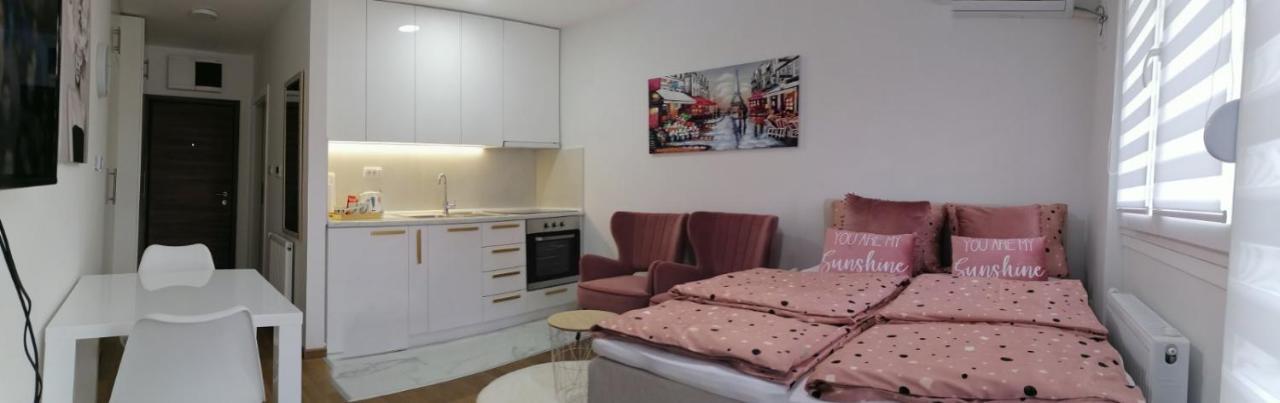 Spring Deluxe Apartment Novi Sad Bagian luar foto