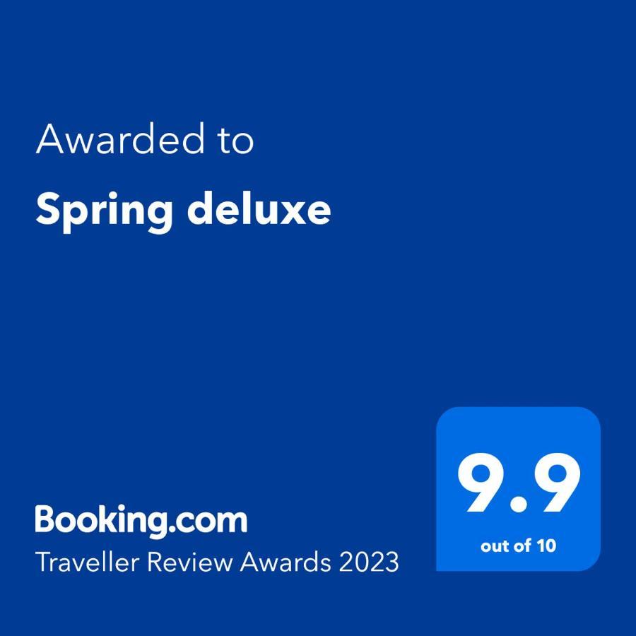 Spring Deluxe Apartment Novi Sad Bagian luar foto